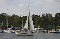 Segelboot-20110917-103.jpg
