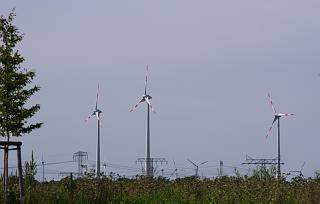 18. 8. 2012. Brandenburg. Windkraftanlagen. Stromerzeugung. Vom Havelkanal aus gesehen.