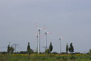 18. 8. 2012. Brandenburg. Windkraftanlagen. Stromerzeugung. Vom Havelkanal aus gesehen.