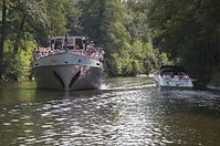 MS-Koenigswald-20110911-033.jpg