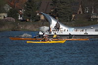 MS-Moby-Dick-20110409-27.jpg