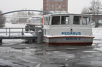 MS-Pegasus-20101230-11.jpg