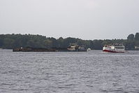 MS-Pelikan-20130922-112.jpg