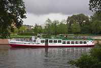 MS-Pinguin-20130526-189.jpg