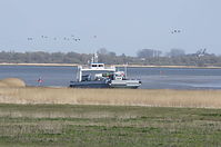 Wischhafen-Faehre-20130502-184.jpg