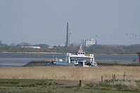 Wischhafen-Faehre-20130502-185.jpg