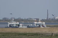 Wischhafen-Faehre-20130502-186.jpg