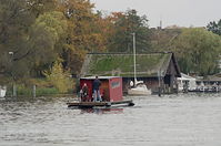 Floss-20131020-131.jpg