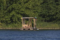 Dateiname=Hausboot-20140731-28.jpg
Dateigröße=257KB
Abmessungen: 880x586
hinzugefügt am: 08. Januar 2016 Hausboot-20140731-28.jpg