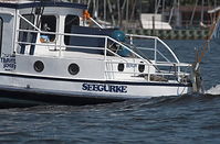 Motorboot-Stahlboote-MS-Seegurke-20110604-12.jpg