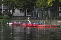 Filename=Ruderboot-20130928-242.jpg
Filesize=211KiB
Dimensions=880x586
Date added=Jan 08, 2016 Ruderboot-20130928-242.jpg