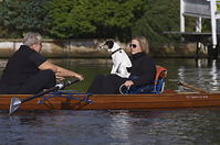 Ruderboot-20130928-254.jpg