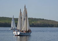 Dateiname=Segelboot-20120428-147.jpg
Dateigröße=141KB
Abmessungen: 880x621
hinzugefügt am: 08. Januar 2016 Segelboot-20120428-147.jpg
