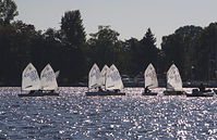 Segelboote-20131003-Berlin-Optimisten-241.jpg