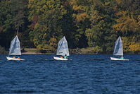 Dateiname=Segelboot-Optimist-20151011-40.jpg
Dateigröße=255KB
Abmessungen: 880x586
hinzugefügt am: 08. Januar 2016 Segelboot-Optimist-20151011-40.jpg