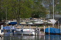 Berlin-Reinickendorf-Niederneuendorfer-See-20130428-205.jpg