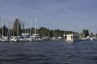 Berlin-Spandau-Marina-Lanke-20110920-101.jpg