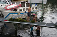 Berlin-Tegeler-See-Blumeshof-20110817-022.jpg