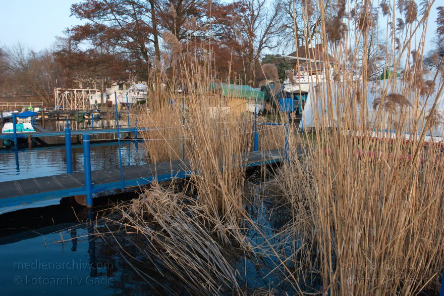 Schlüsselwörter: Berlin,Boote,,Saatwinkel,Schilf,Tegel,Tegeler See,2014,Reinickendorf