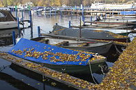 Berlin-Tegeler-See-Bootsstaende-Lahe-20111106-01.jpg