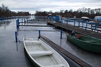 Berlin-Tegeler-See-Bootsstaende-Lahe-20121226-216.jpg