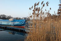Berlin-Tegeler-See-Bootsstaende-Lahe-20140306-243.jpg