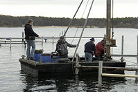 Dateiname=Reparatur-Stege-Winterlinge-20140215-128.jpg
Dateigröße=198KB
Abmessungen: 880x588
hinzugefügt am: 08. Januar 2016 Reparatur-Stege-Winterlinge-20140215-128.jpg