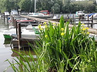 Berlin-Tegeler-See-Bootshaus-Saatwinkel-20110521-301.jpg