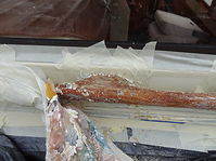 Dateiname=Boot-Holzhandgriff-20130416-246.jpg
Dateigröße=206KB
Abmessungen: 880x661
hinzugefügt am: 08. Januar 2016 Boot-Holzhandgriff-20130416-246.jpg
