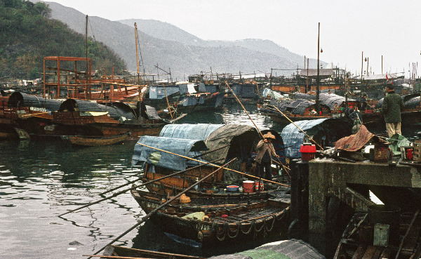 1970. Hongkong. Hongkong. Ansammlung von Dschunken
